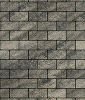  Брусчатка Выбор Прямоугольник (кирпич) Листопад 2.П.6 60 мм Антрацит Гранит: внешний вид